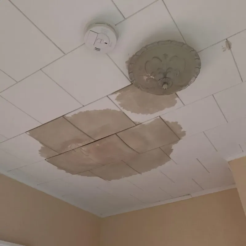 Ceiling Water Damage Repair in Faulk County, SD