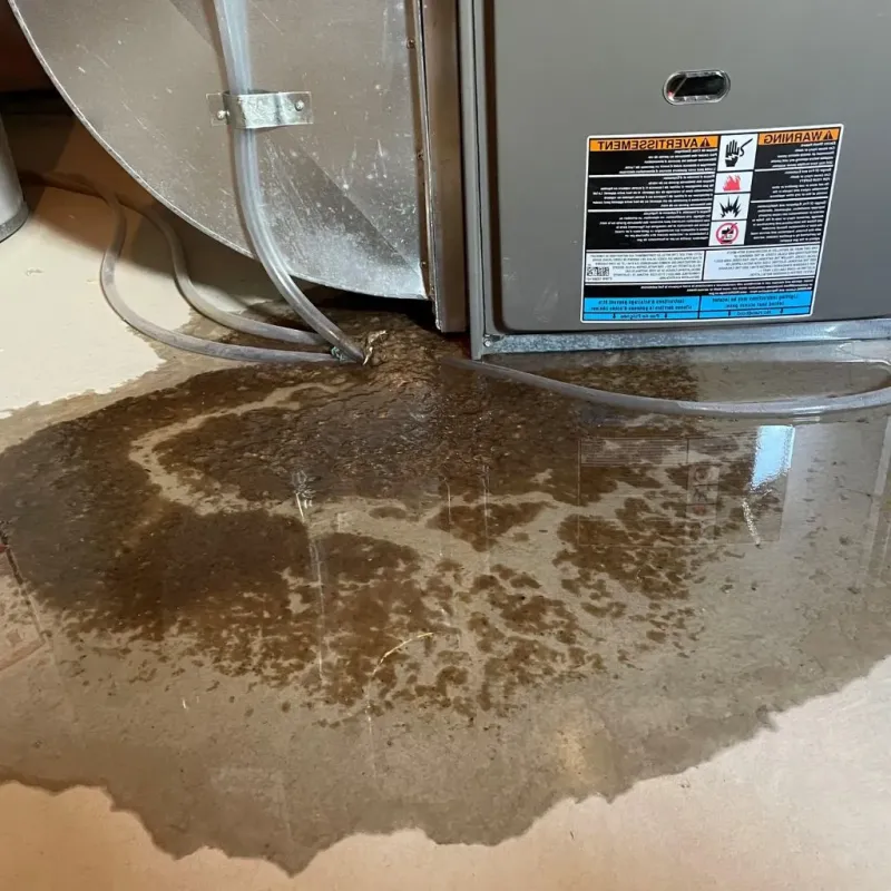 Pipe Burst and Leak Restoration in Faulk County, SD
