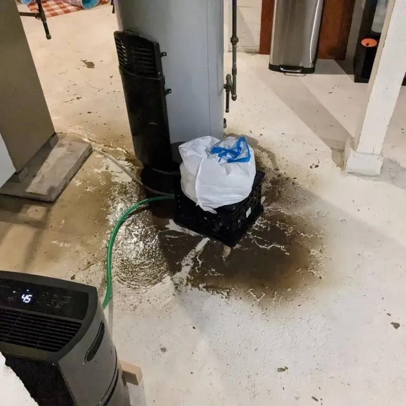 Sewage Backup Cleanup Service in Faulk County, SD